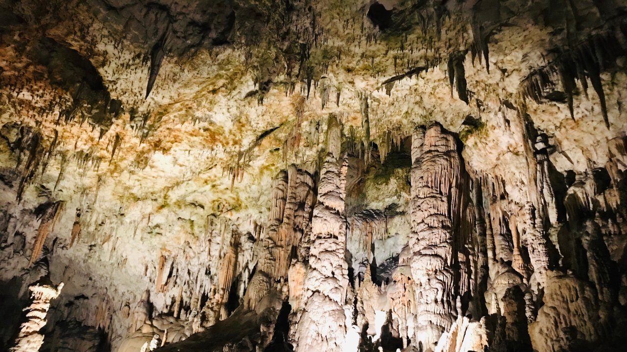 Postojna Cave, Slovenia