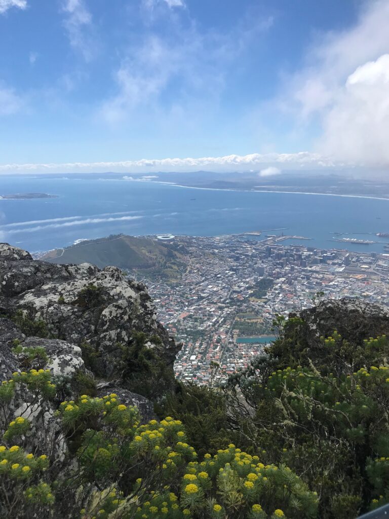 On Top of Table Mountain