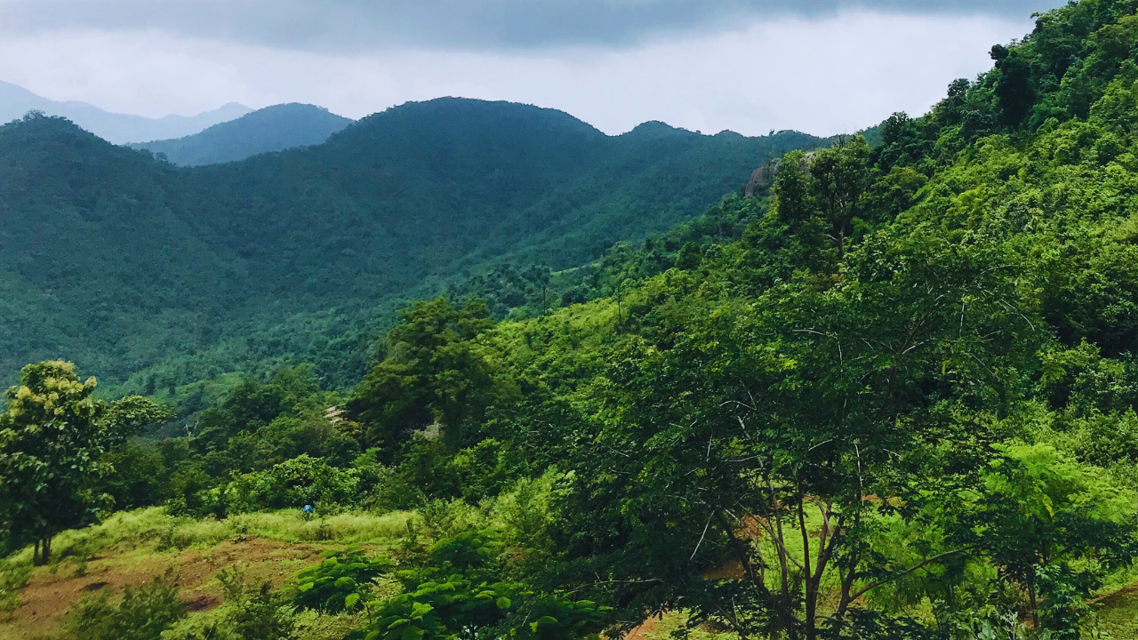 Araku Valley